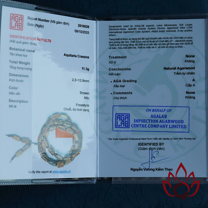 Vòng Trầm Hương Trúc Thô | Quấn 3 Vòng | Trầm Kiến Tự Nhiên